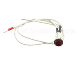 09917 Dinex Pilot Light