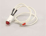 09917 Lakeside Rep 904/6000 Pilot Light