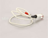 09917 Lakeside Rep 904/6000 Pilot Light