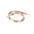 0C0202 Compatible Electrolux Thermocouple, M8X1 L750Mm
