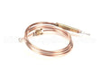 0C0202 Electrolux Professional Thermocouple, M8X1 L750Mm