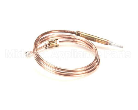 0C0202 Electrolux Professional Thermocouple, M8X1 L750Mm