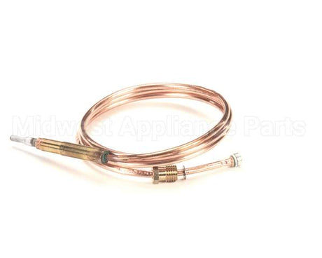 0C0202 Electrolux Professional Thermocouple, M8X1 L750Mm