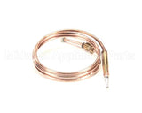 0C0202 Electrolux Professional Thermocouple, M8X1 L750Mm