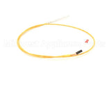 0C0325 Electrolux Professional Temp.probe; Thermocouple; L=85Cm; Boiler