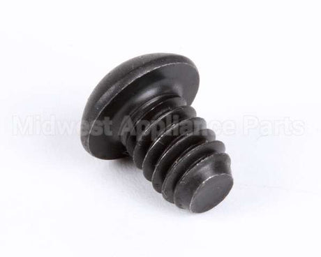 1107 Globe Roller Retaining Screw