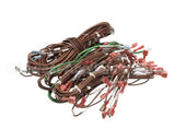 21792600 Bakers Pride Harness: Wire Electric Oven