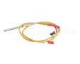 0C6538 Electrolux Professional Temperature Probe, L500Mm