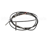 0C6573 Electrolux Professional Core Probe, Singlepoint