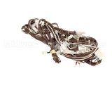 0C9015 Electrolux Professional Wiring Harness