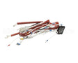 0C9678 Electrolux Professional Wiring Harness