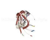 0C9678 Electrolux Professional Wiring Harness