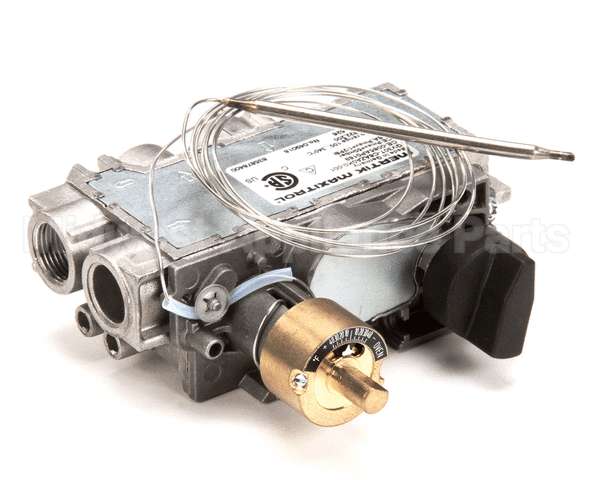 0C9900 Electrolux Professional Gas Valve, Gv30T-C6Aza0K0-001