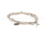 0CA452 Electrolux Professional Pt1000 Probe, Speedelight