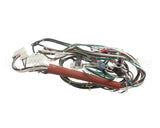 0CA702 Electrolux Professional Wiring Harness, Hspe