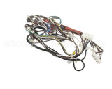 0CA702 Electrolux Professional Wiring Harness, Hspe