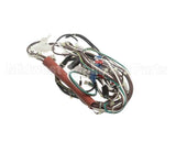 0CA702 Electrolux Professional Wiring Harness, Hspe