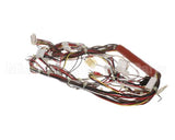 0CB084 Electrolux Professional Wiring Harness; Hspe