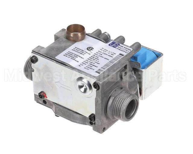 0CBAKU Electrolux Professional Gas Valve; 220V 60Hz; Usa;