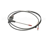 0CK173 Electrolux Professional Core Probe; Single Point 10 1/11