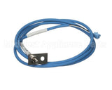 0CK209 Electrolux Professional Ntc Probe; Blu