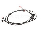 0CK601 Electrolux Professional Core Probe