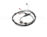 0CK602 Electrolux Professional Food Probe Single Point