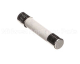 0CK727 Electrolux Professional Fuse