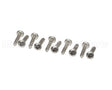 0D1009 Electrolux Professional Screw, 10 Pieces