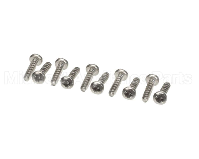 0D1009 Electrolux Professional Screw, 10 Pieces
