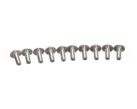0D2901 Electrolux Professional Screw H Base 6X16 Stless Stl Set X10
