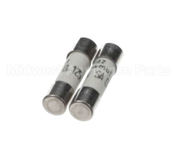 0D3931 Electrolux Professional Fuse, 2 Pieces