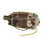0D6007 Electrolux Professional Motor; 115V-450W; B2000