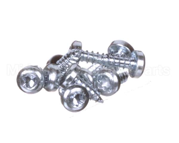 0D6250 Electrolux Professional Screw, Set 10Pcs