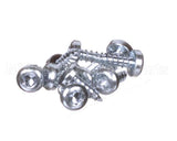 0D6250 Electrolux Professional Screw, Set 10Pcs