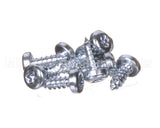 0D6250 Electrolux Professional Screw, Set 10Pcs