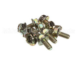 0D6786 Electrolux Professional Screw, M6X12, Set 10Pcs