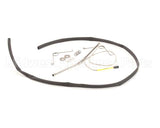 0D6825 Electrolux Professional Probe, Kit