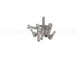 0D6985 Electrolux Professional Screw, M6X25 Inox, Set 10Pcs