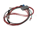 0D7588 Electrolux Professional Wiring Harness, Libero