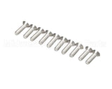 0D7973 Electrolux Professional Screw; M3X10; Set 10Pcs