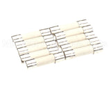 0G5823 Electrolux Professional Fuse, Set 10Pcs