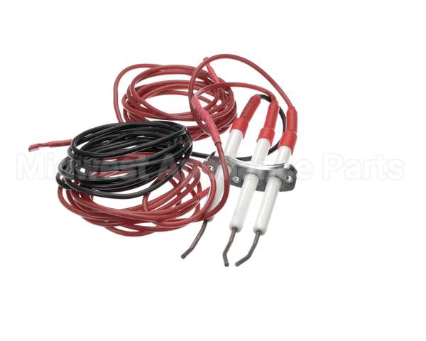 0G6241 Electrolux Professional Spark Plug With Flame Dectection Plug