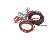 0G6241 Electrolux Professional Spark Plug With Flame Dectection Plug