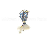 0G7149 Electrolux Professional Cable, Transformer Ul