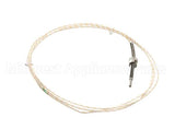 0K5058 Electrolux Professional Probe