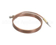 0KI369 Electrolux Professional Thermocouple, L750Mm, M8X1