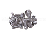 0KQ494 Electrolux Professional Screw, 10 Pieces