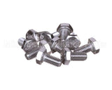 0KQ494 Electrolux Professional Screw, 10 Pieces