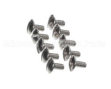 0KQ527 Electrolux Professional Screw, 10 Pieces